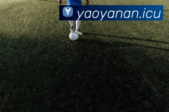 9游会官网首页入口平台生态图