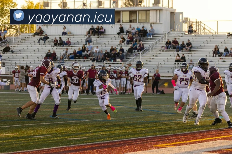 9游会官网首页入口APP 封面图